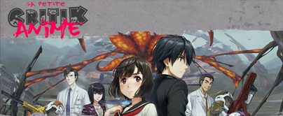 La petite Critik Anime : A.I.C.O. Incarnation