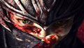 Ninja Gaiden 3